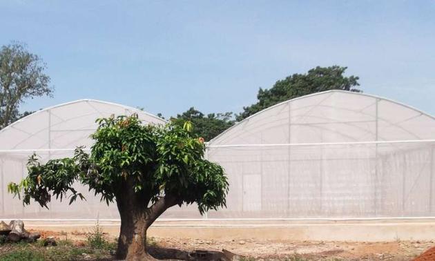 在布基纳法索一个疟疾盛行的农村地区，研究人员建造了一个大约655平方米的封闭式建筑物，称之为“蚊子圈”。其内容包含：实验室、植物、小型蚊子繁殖池，以及蚊子的食物来源。