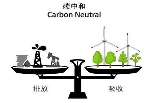 中国用尾气合成出蛋白质 这个全球首次的技术为啥还被喷了？